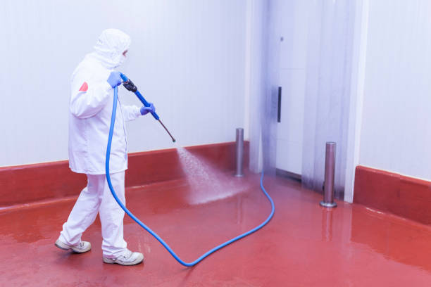 Best House Exterior Washing  in Eastlawn Gardens, PA
